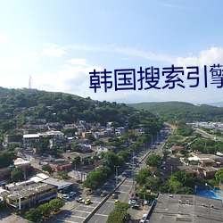 韩国搜索引擎