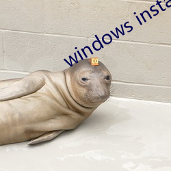 windows installer 4.5