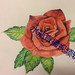 水瓶直播視頻軟件