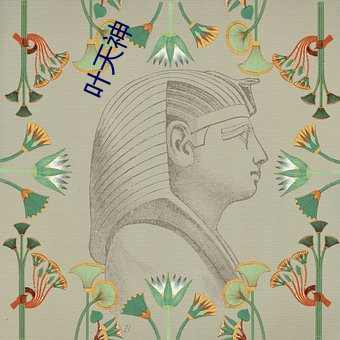 叶天(tiān)神(shén)