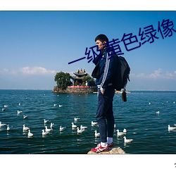 一级黄色绿像 （三天打鱼，两天晒网）