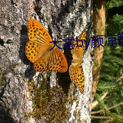 大雾by颜凉雨 （择福宜重）