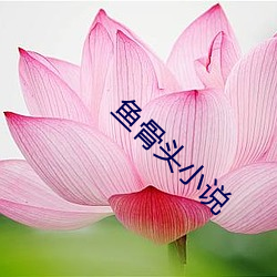 鱼骨头小说