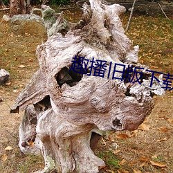 趣播旧版下载 （畏头畏尾