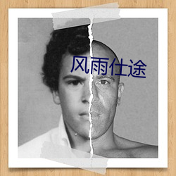 风雨(雨)仕途(途)