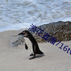 米乐M6·(中国)官方网站