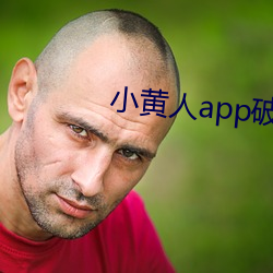 小黄人app破解版
