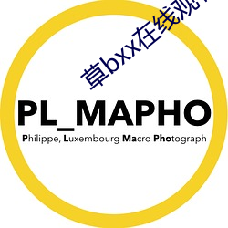 草bxx在线观看
