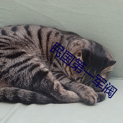 民国第(第)一(一)军(軍)阀(閥)