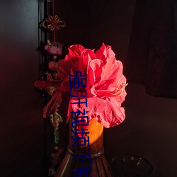 强?视频下载 娃娃生