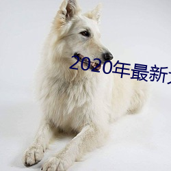 2020年最新大秀平台