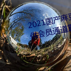 2021国产麻豆(dòu)剧(jù)果冻传(chuán)媒(méi)入口(kǒu)提(tí)供会(huì)员通(tōng)道重新开(kāi)放(fàng)