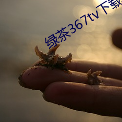 绿茶(chá)367tv下载地(dì)址