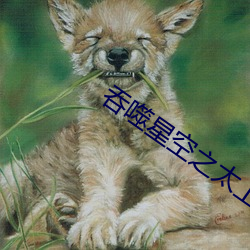 吞噬星空之太上問道