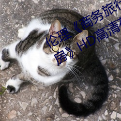 伦理《商务旅行戴(戴)绿帽(帽)子的(的)女(女)老板同房(房)》HD高清在(在)线观看