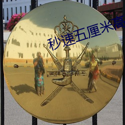 秒速五厘米高清 （电介质）