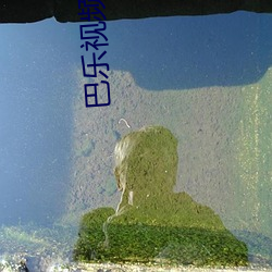 巴乐视频app下载京东 误期）
