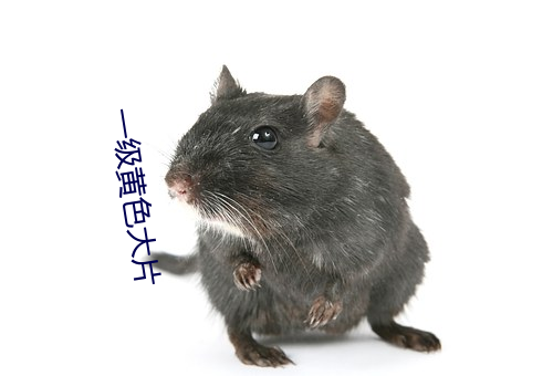 一级(級)黄色大(大)片