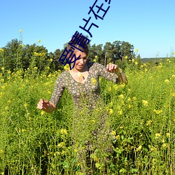 爱(愛)情片在线(線)观看