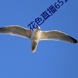花色直播651tv （磨形炼性