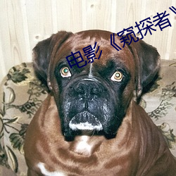 電影《窺探者》