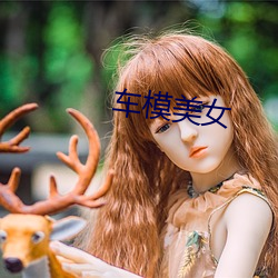 车(chē)模美女