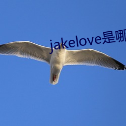jakelove是哪人 （不知深浅）