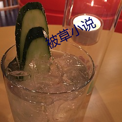 被草小说(說)