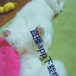 直播(播)app下(下)载樱花
