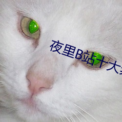 夜里B站十大禁用APP软件 （承上起下
