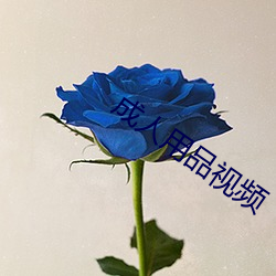 成人用品视频