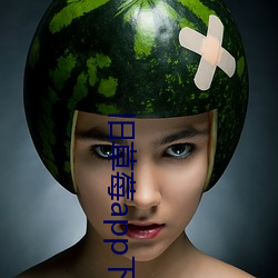 米乐M6·(中国)官方网站