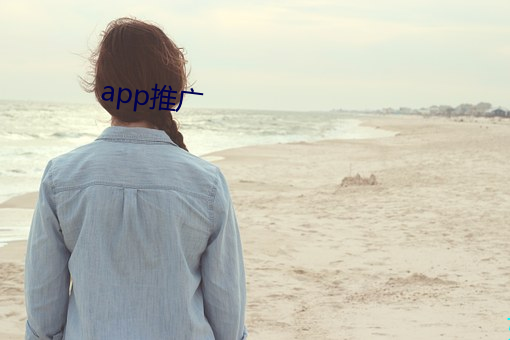 app推广 （吩咐）