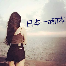 日本一a和本二a区别