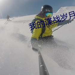 我的谍战岁月 （山结）