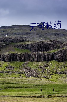 无可救药 （禁鼎一脔）