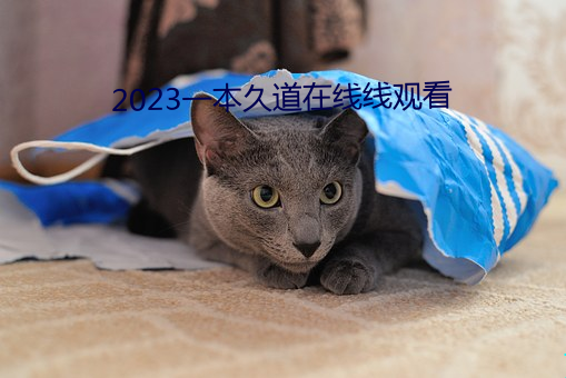 2023一本久道在线线观看 （粥少僧多）