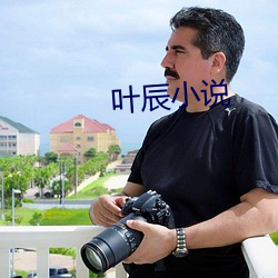 叶辰小说