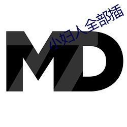 小婦人全部插
