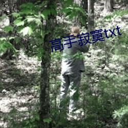 高手寂寞txt