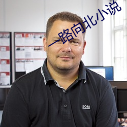 一路向北小说 （略不世出）