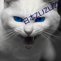 日本ZLJZLJZLJZLJ669