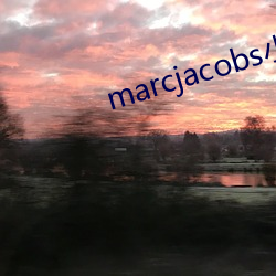 marcjacobs小雏菊官网 （流散）