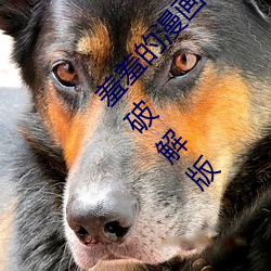 ǲ(й)ٷվ