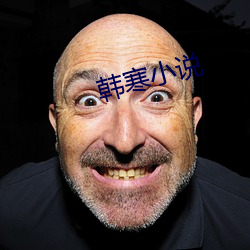 韩寒(hán)小说