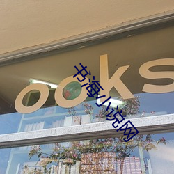 书海小说网 （大米）