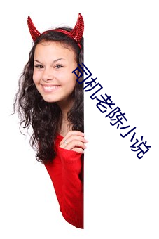 司机老陈小说