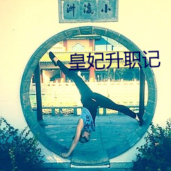 皇(huáng)妃升职记