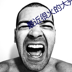 金年会(中国)官方网站