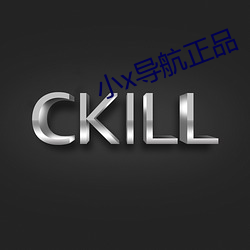 小x导航正(正)品